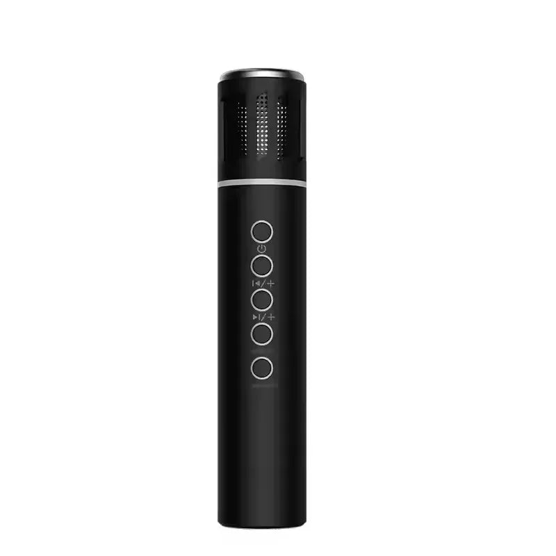 2-in-1 Karaoke Wireless Microphone & Bluetooth Speaker